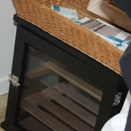 Coup De Coeur * Rivedoux-Plage