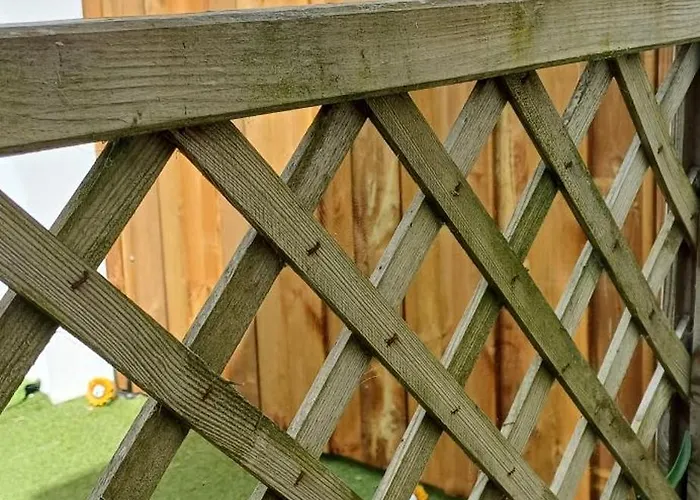 Apartment Coup De Coeur Rivedoux-Plage